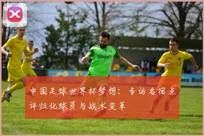 中国足球世界杯梦想：专访名宿点评归化球员与战术变革
