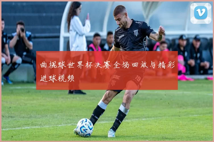 曲棍球世界杯决赛全场回放与精彩进球视频