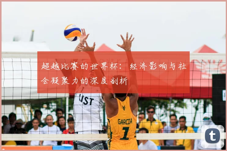 超越比赛的世界杯：经济影响与社会凝聚力的深度剖析
