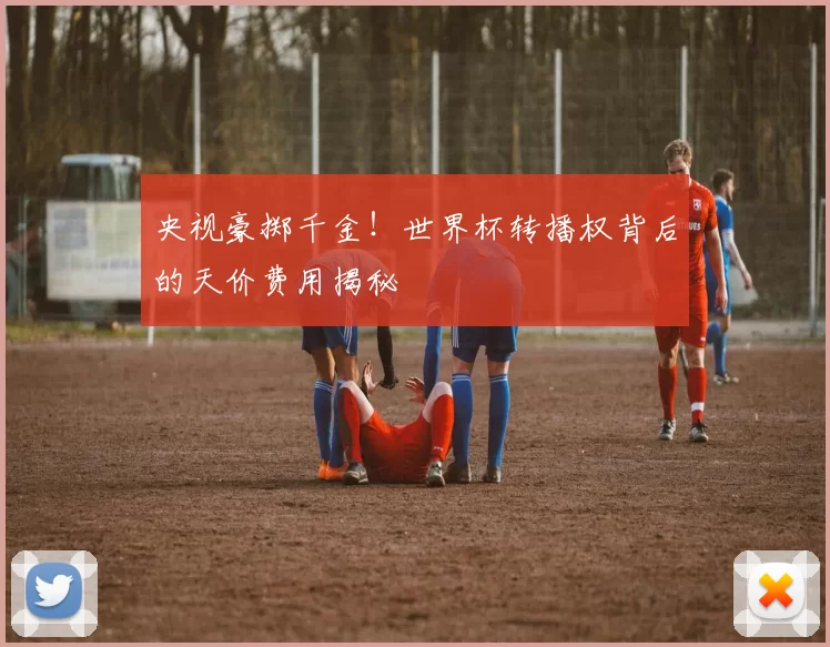 央视豪掷千金!世界杯转播权背后的天价费用揭秘
