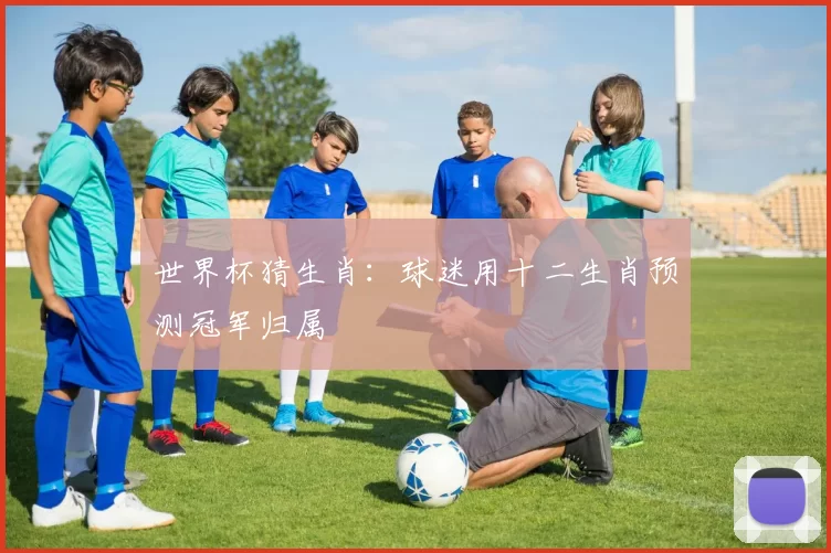 世界杯猜生肖：球迷用十二生肖预测冠军归属