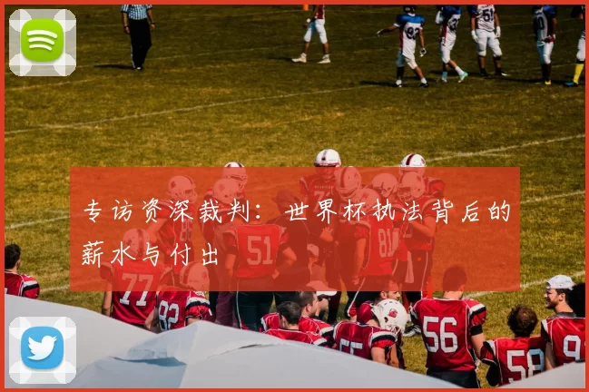 专访资深裁判：世界杯执法背后的薪水与付出
