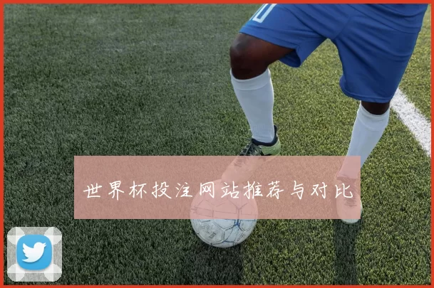 世界杯投注网站推荐与对比